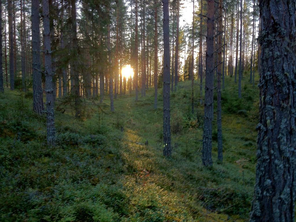 Rustika Strandstugor Utanfoer Raettvik Esterno foto